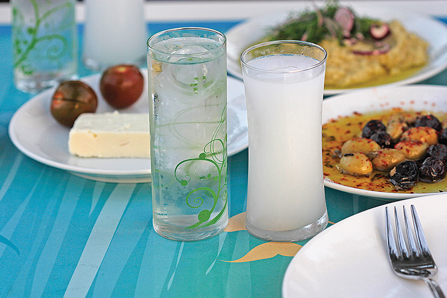 Berk Balık Güvercinlik