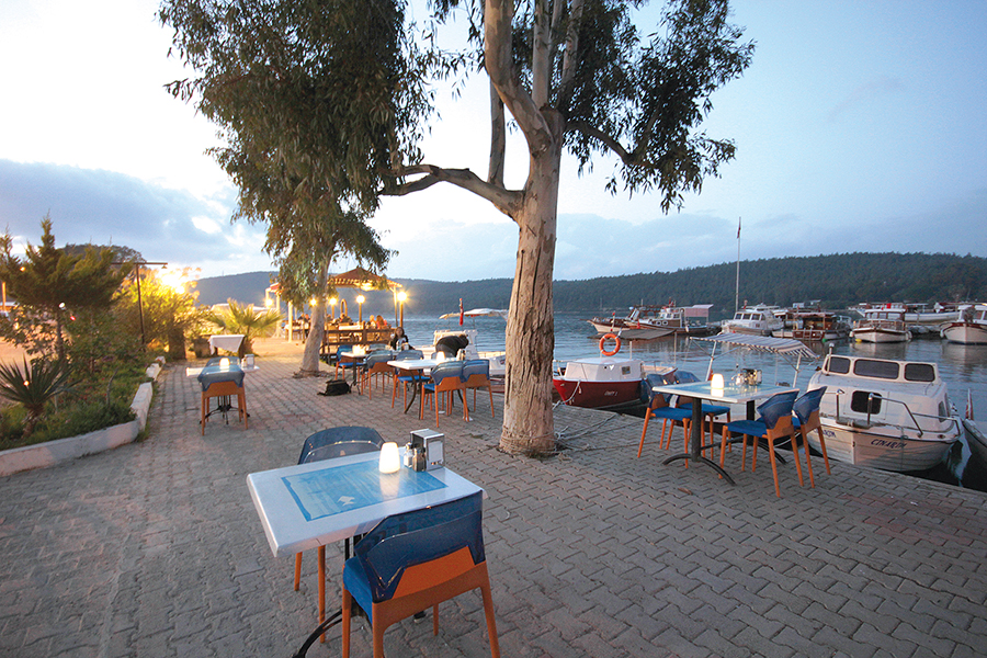 Berk Balık Güvercinlik