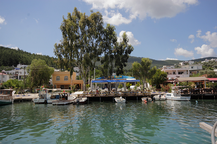 Berk Balık Güvercinlik